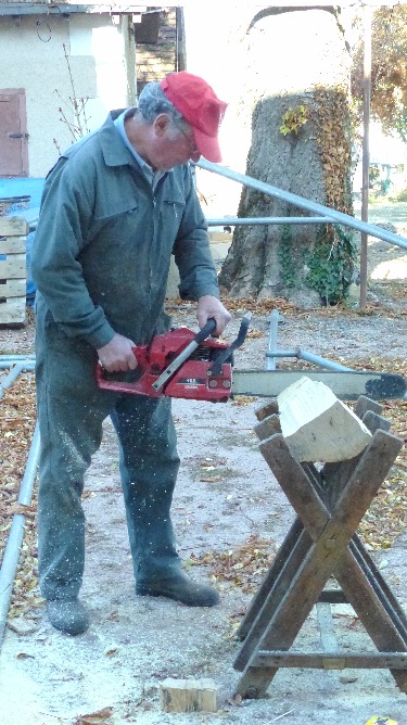 Premier dbit  la trononneuse